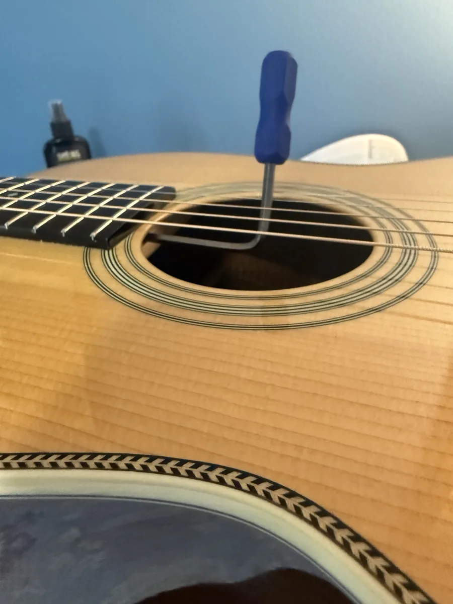 Side view of a truss rod adjustment on an Eastman E20 OO acoustic guitar